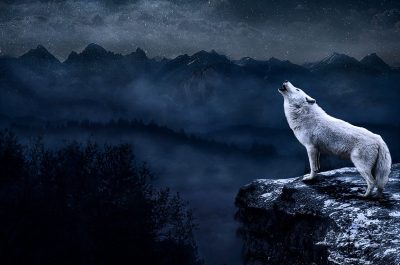 La luna y el lobo