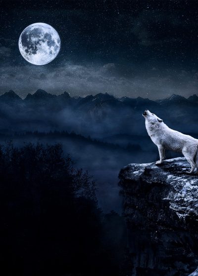 La luna y el lobo